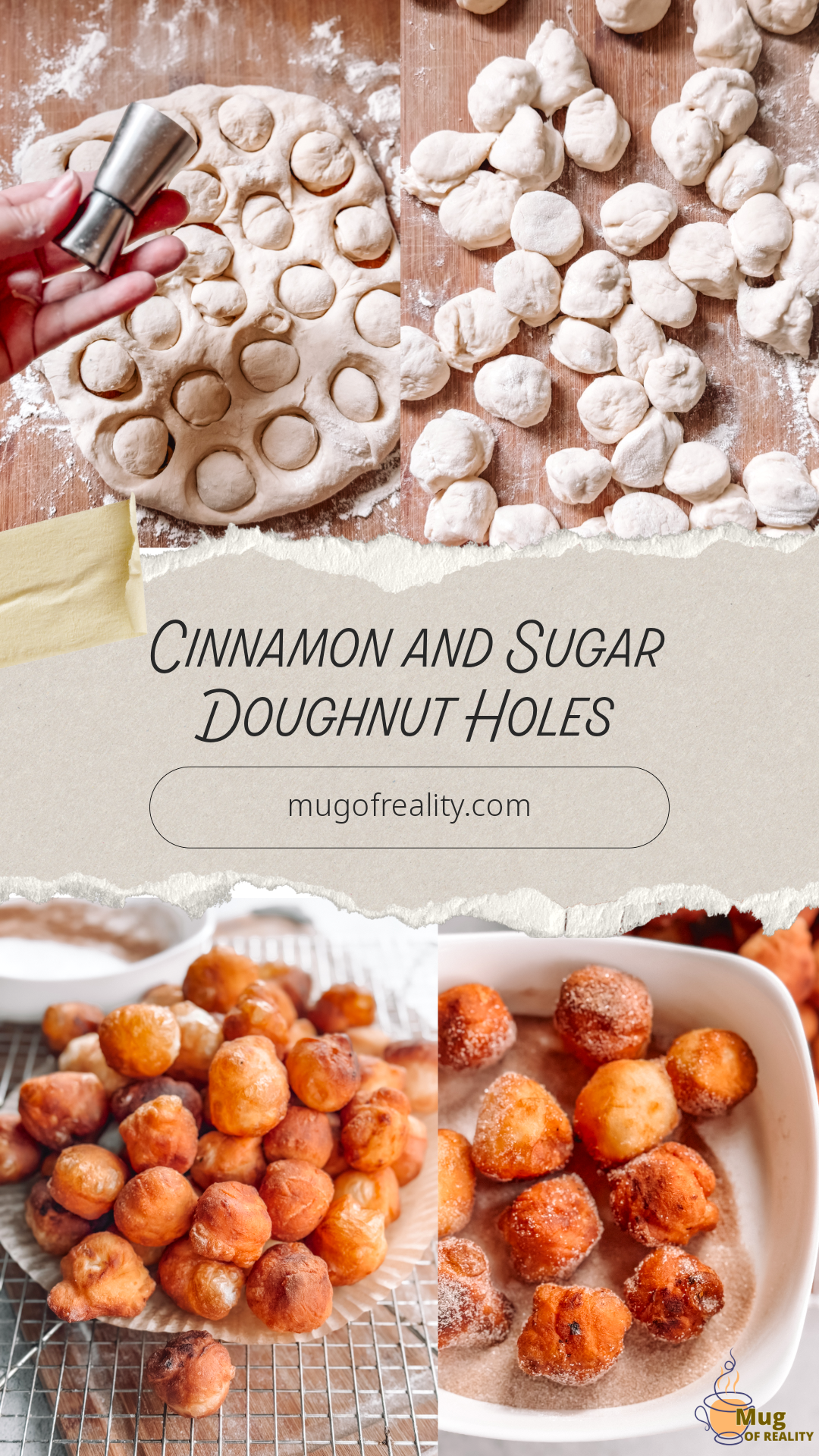 Cinnamon and Sugar Doughnut Holes